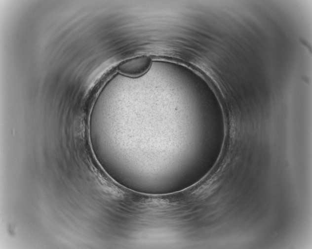X0000100911115200807011237