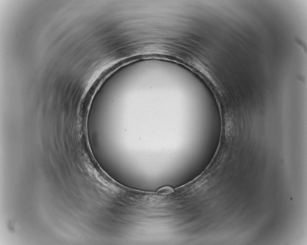 X0000100911116200807011237