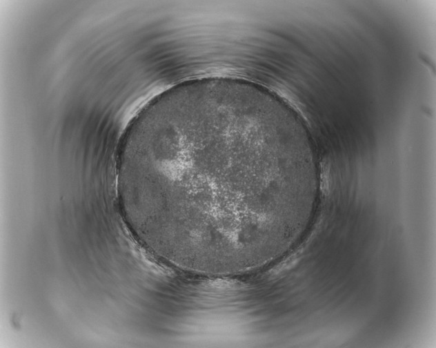 X0000100911117200807011237