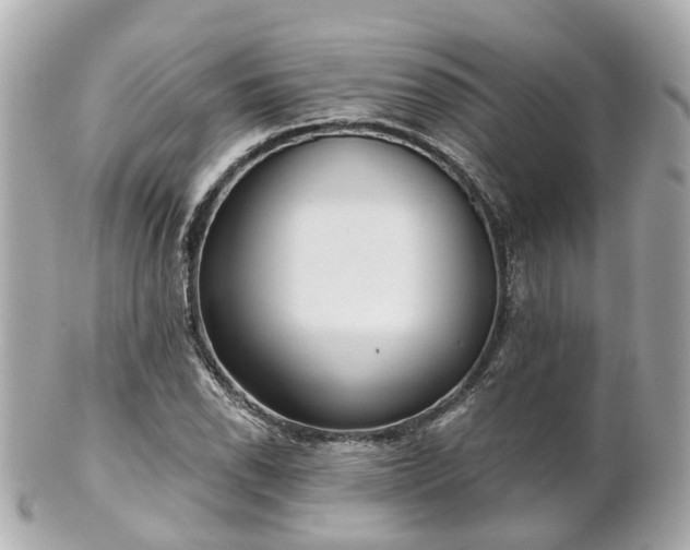 X0000100911118200807011237