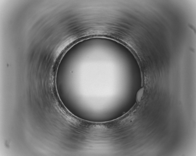 X0000100911119200807011237