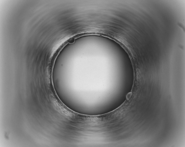 X0000100911120200807011237