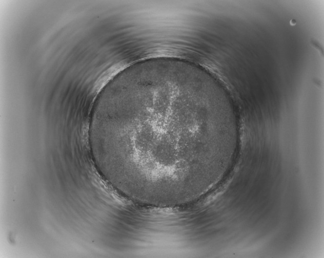 X0000100911121200807011237