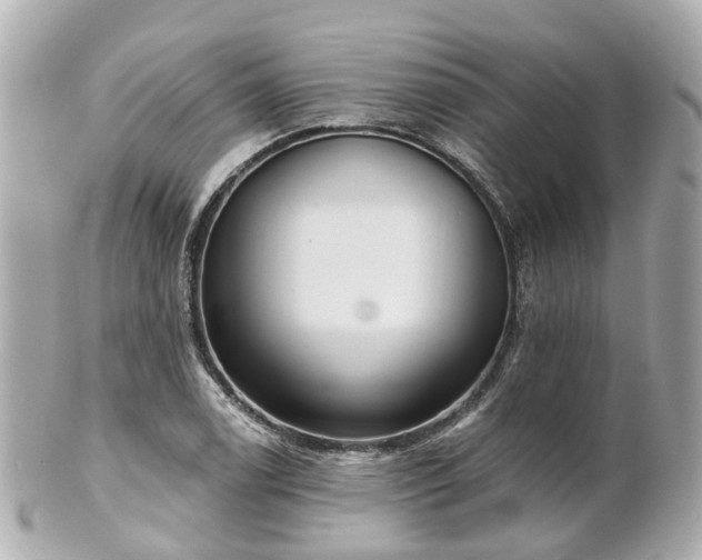 X0000100911122200807011237