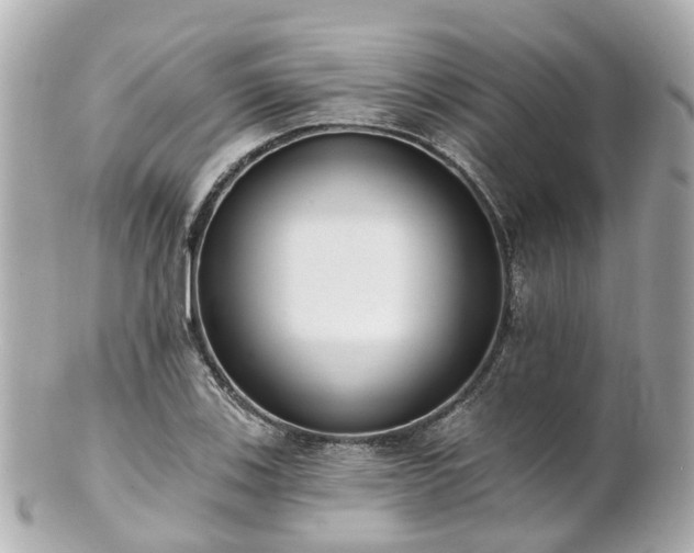 X0000100911123200807011237