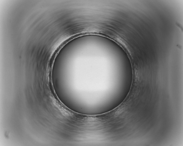 X0000100911124200807011237