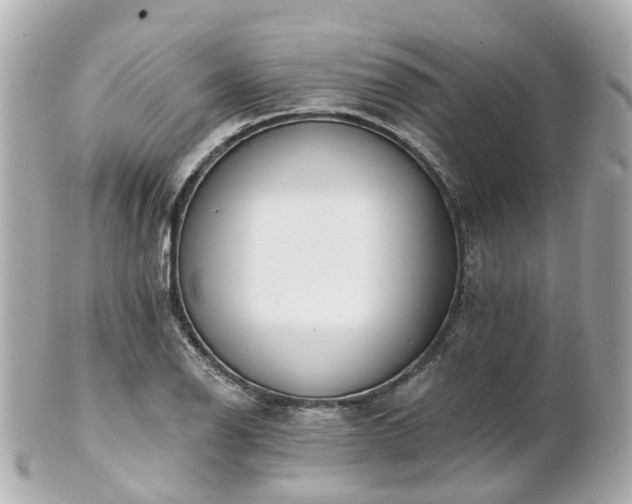 X0000100911126200807011237