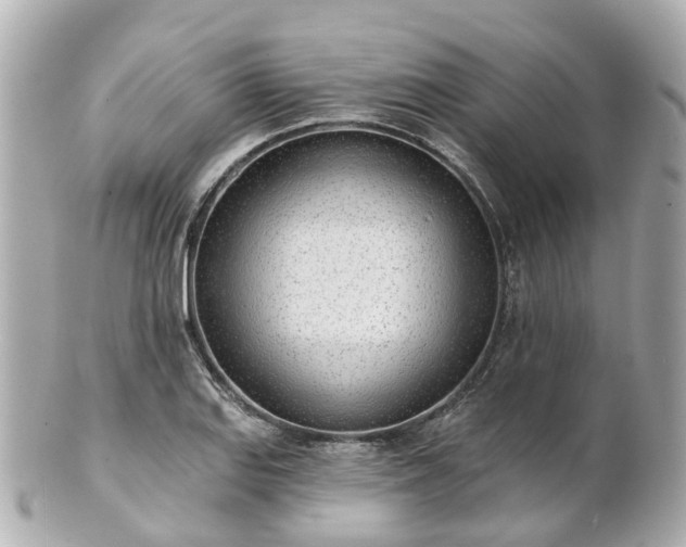 X0000100911127200807011237