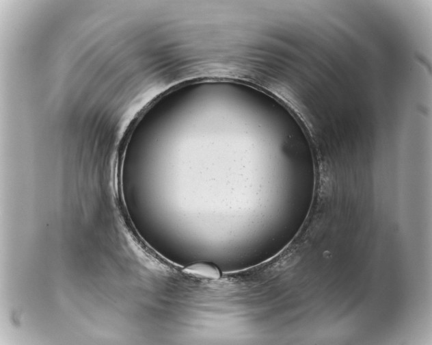 X0000100911128200807011237