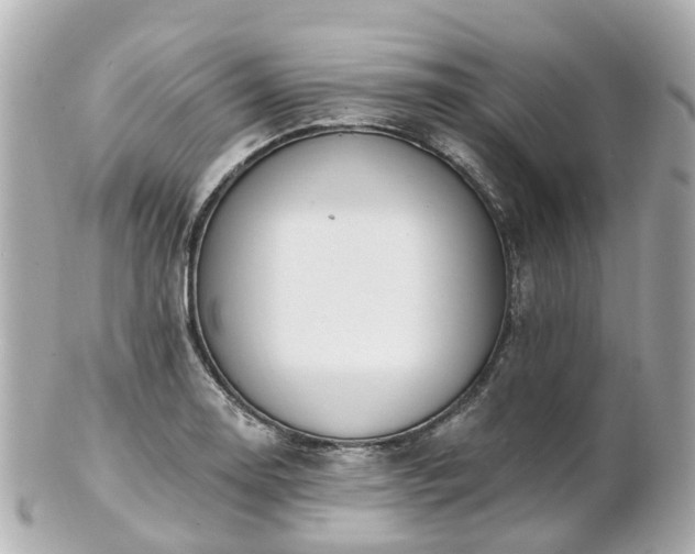 X0000100911130200807011237