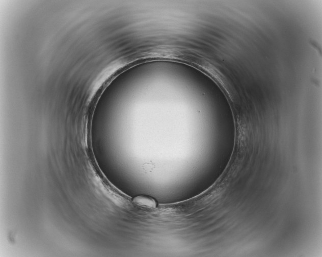 X0000100911131200807011237