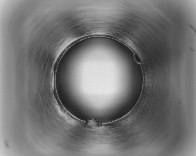 X0000100911132200807011237