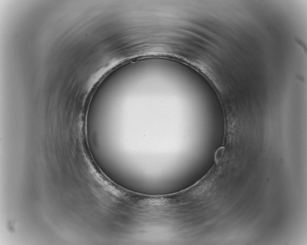 X0000100911134200807011237