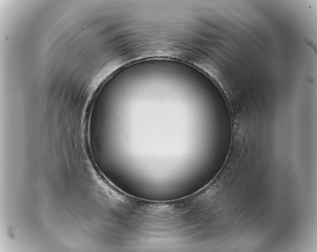 X0000100911135200807011237