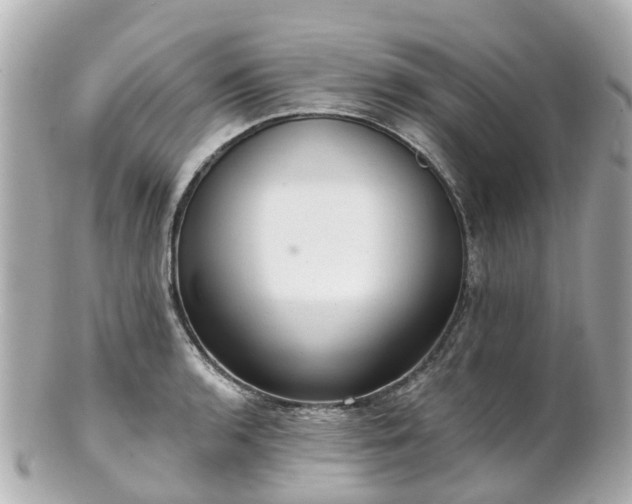 X0000100911136200807011237