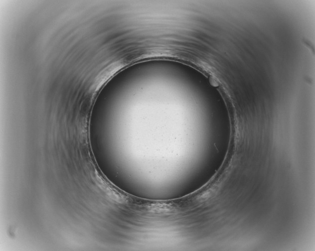 X0000100911137200807011237