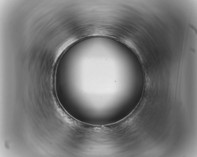X0000100911138200807011237
