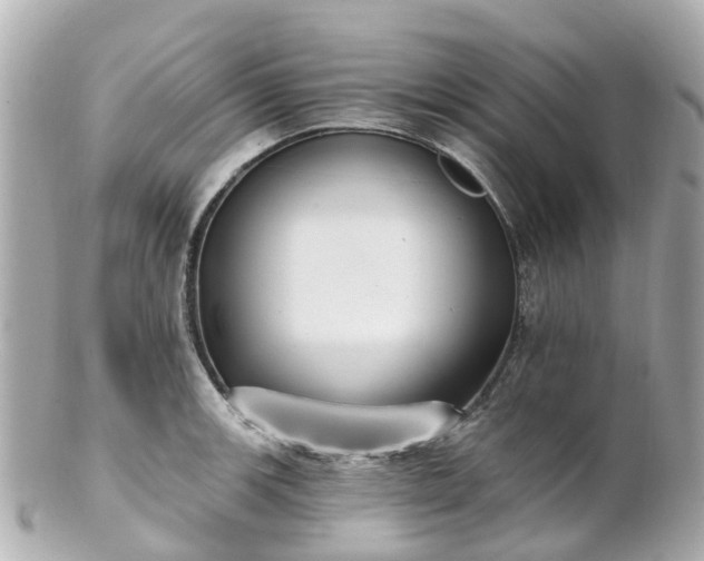 X0000100911139200807011237