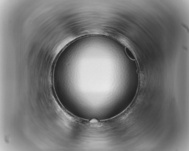 X0000100911141200807011238