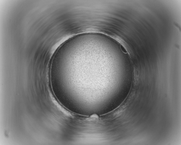 X0000100911142200807011238