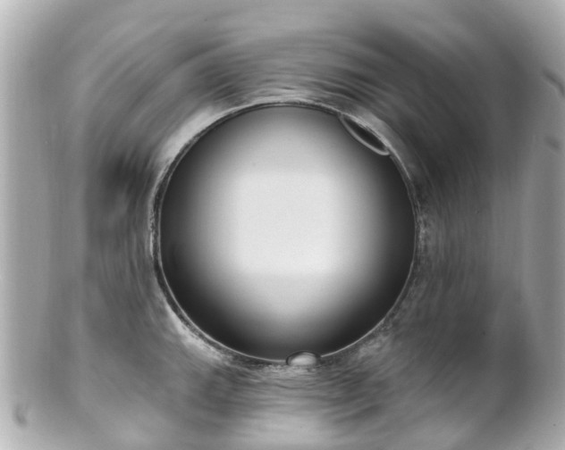 X0000100911143200807011238