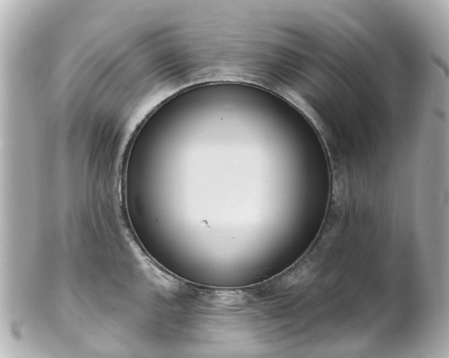 X0000100911144200807011238