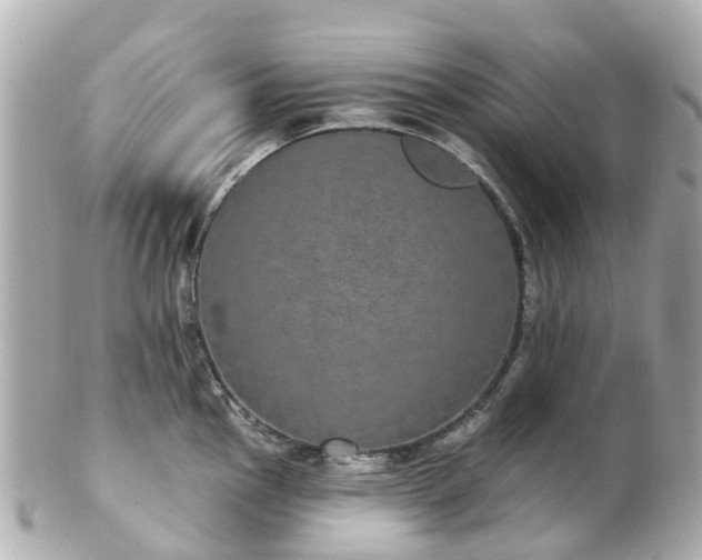 X0000100911145200807011238