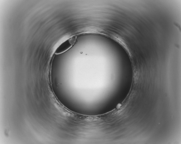 X0000100911146200807011238