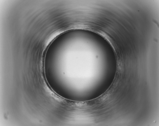 X0000100911147200807011238