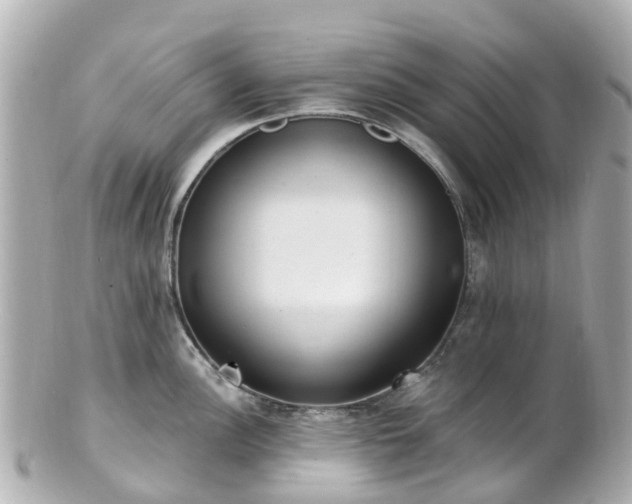 X0000100911148200807011238