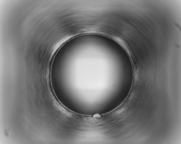 X0000100911149200807011238