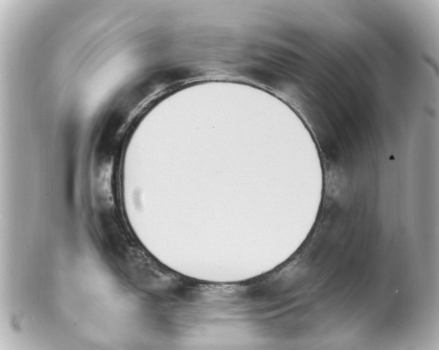 X0000100911150200807011238
