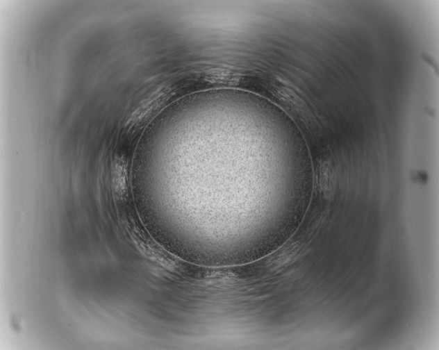 X0000100911154200807011237