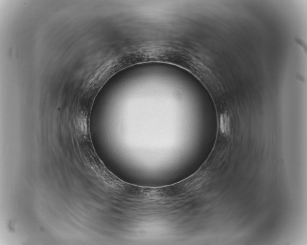 X0000100911155200807011237