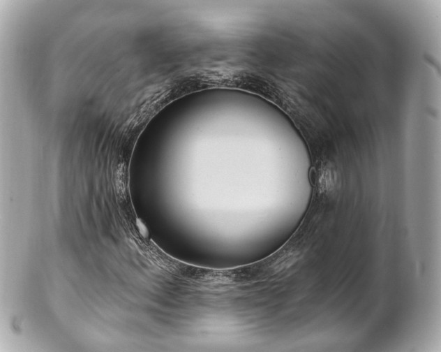 X0000100911156200807011237