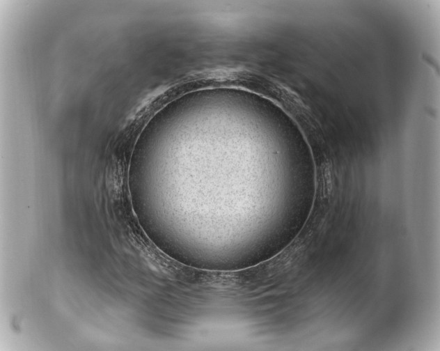 X0000100911158200807011237