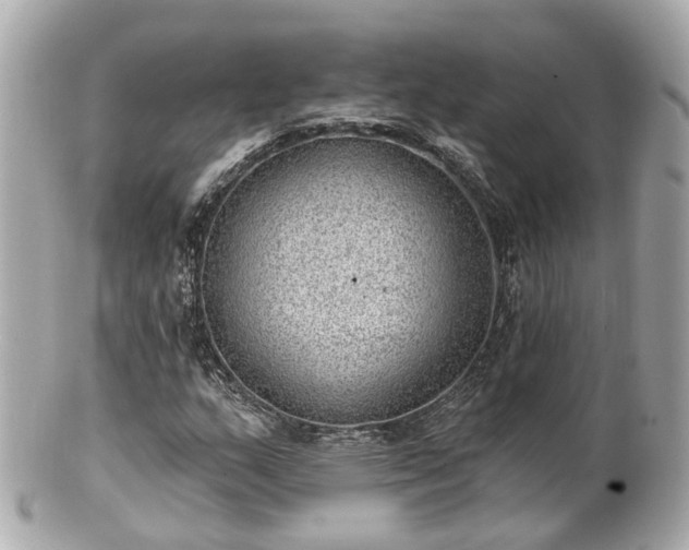 X0000100911159200807011237