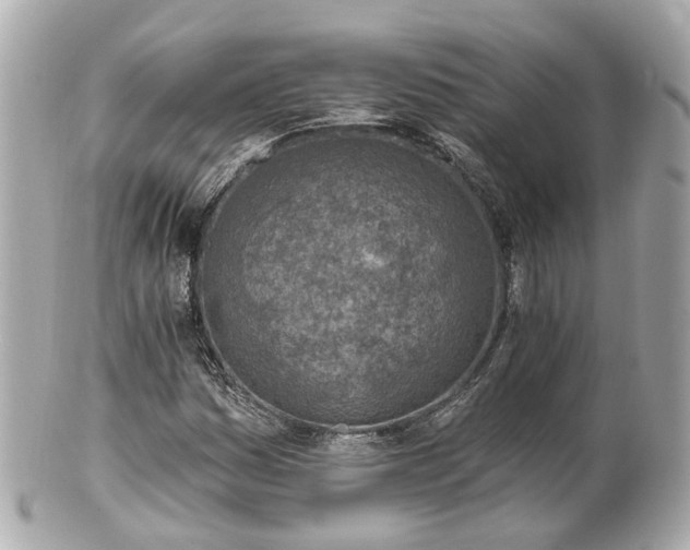 X0000100911161200807011237