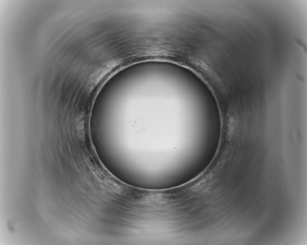 X0000100911162200807011237
