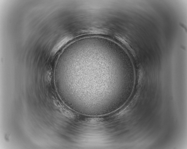 X0000100911163200807011237