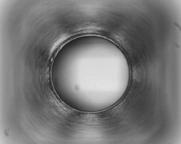 X0000100911164200807011237