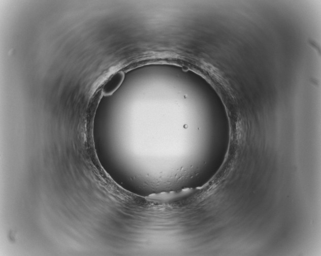 X0000100911165200807011237