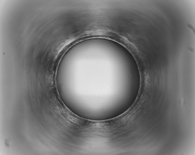 X0000100911166200807011237