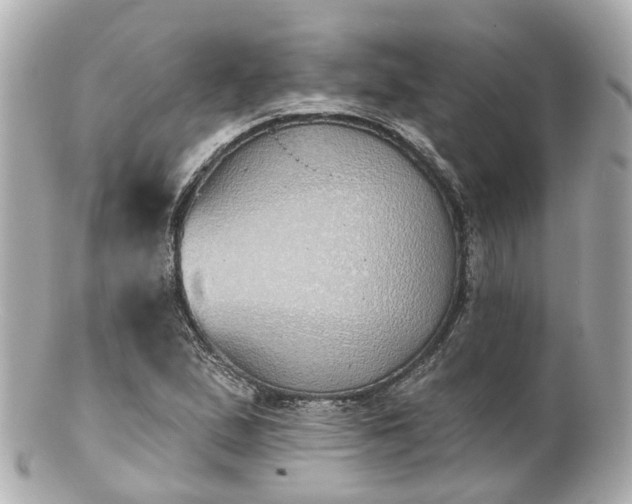 X0000100911167200807011237