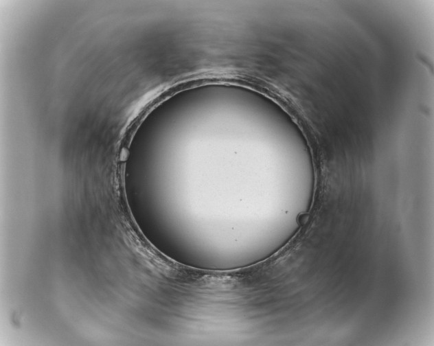 X0000100911168200807011237