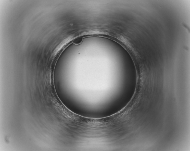 X0000100911173200807011237