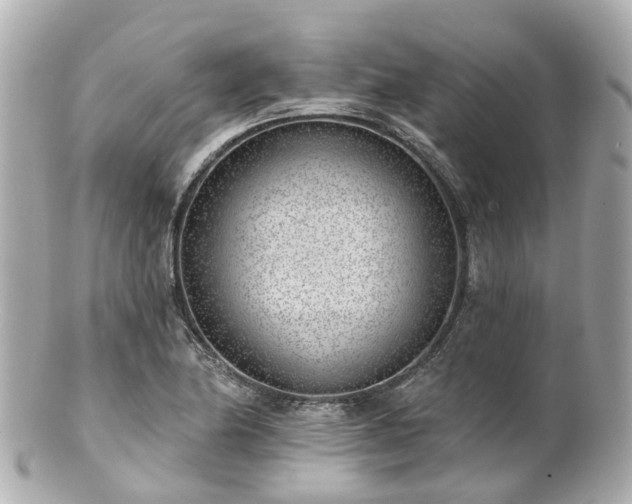 X0000100911174200807011237