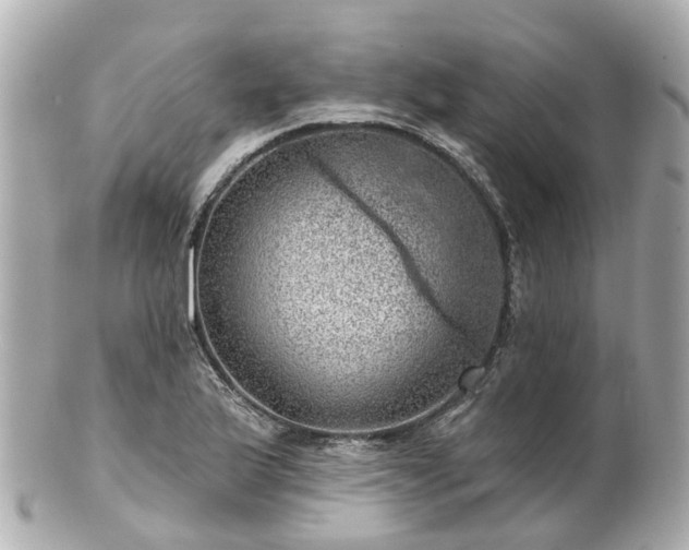 X0000100911175200807011237