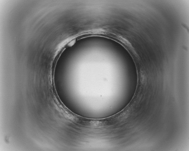 X0000100911176200807011237