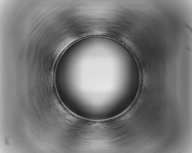 X0000100911178200807011237